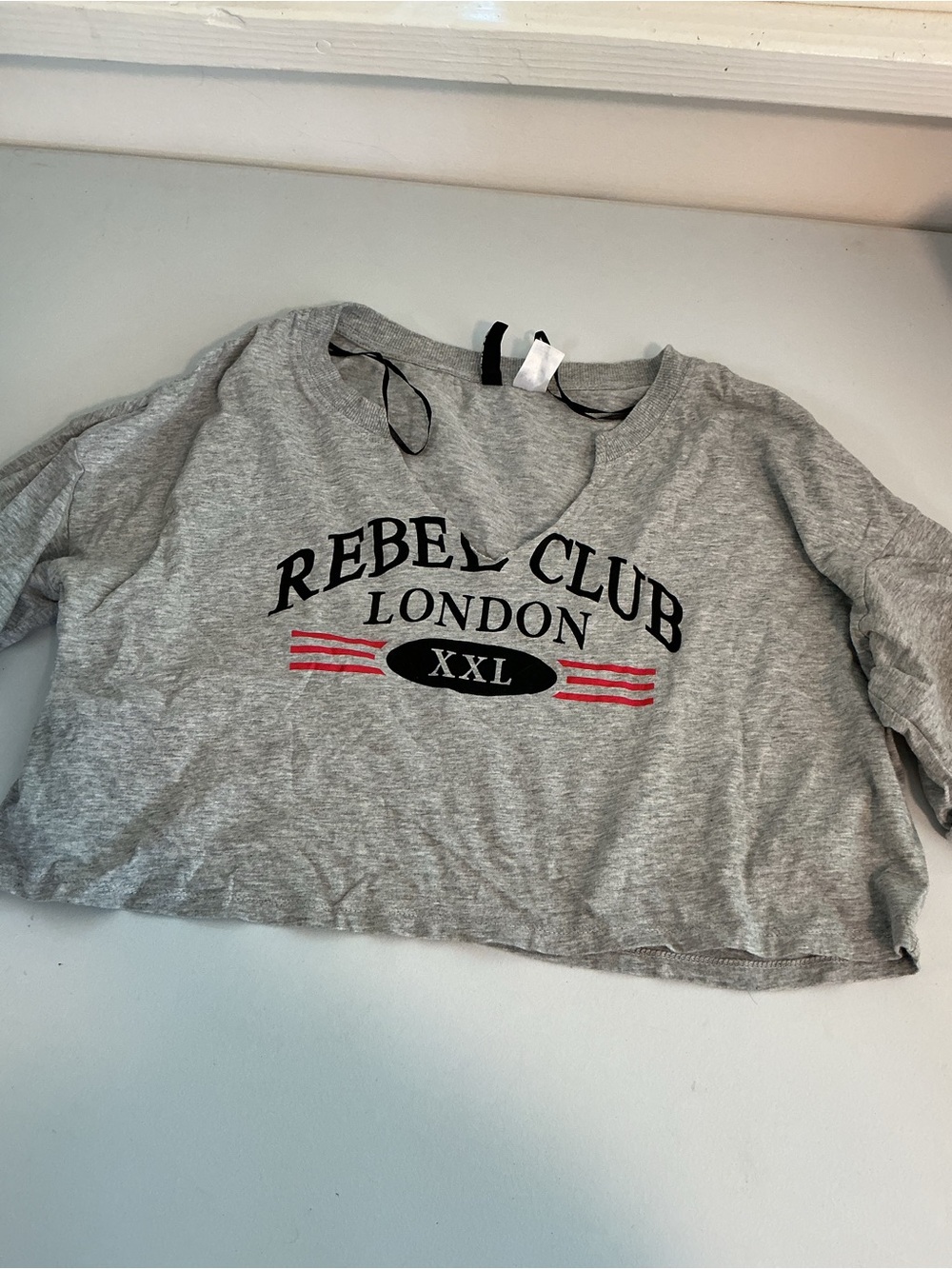 H&M Grey Cropped Sweatshirt with Black Logo and Red Stripes